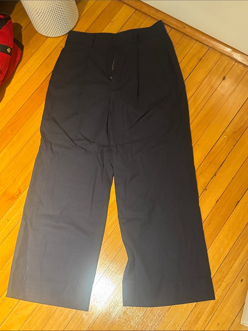 Everlane Navy Wool Wide Leg Pleated Trousers